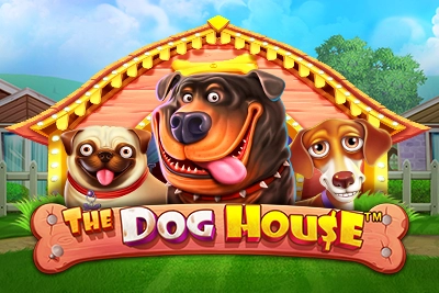 The Doge House - Play via 1Win App Login